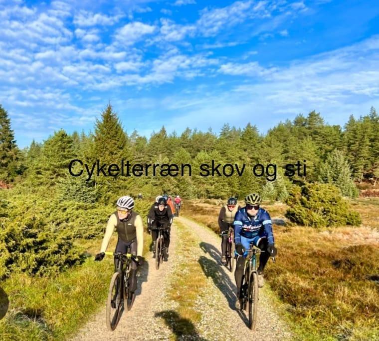 Mindedalen - Idyl Taet Pa Alt Og Helt I Fred Apartment Billum Ngoại thất bức ảnh