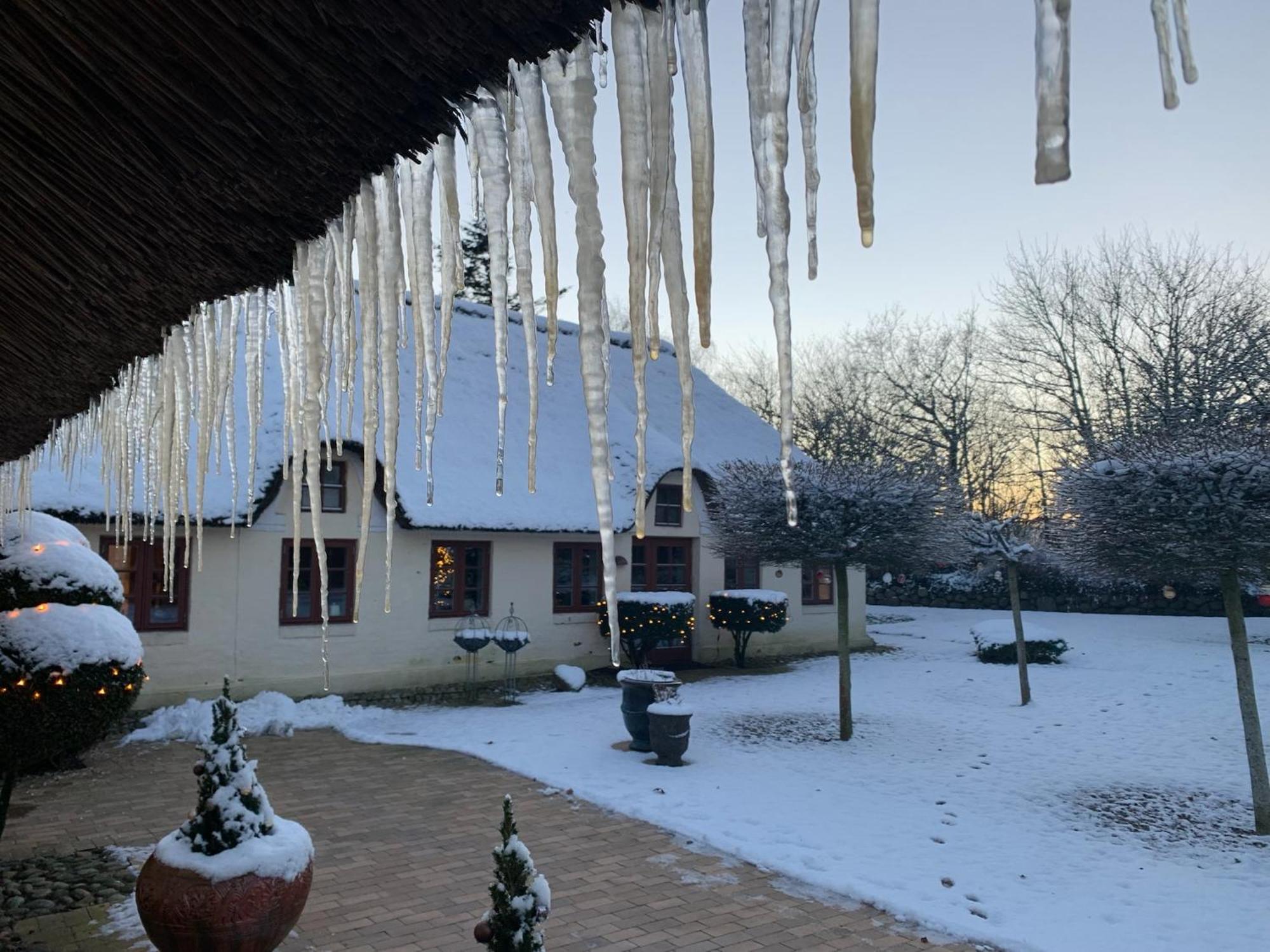 Mindedalen - Idyl Taet Pa Alt Og Helt I Fred Apartment Billum Ngoại thất bức ảnh