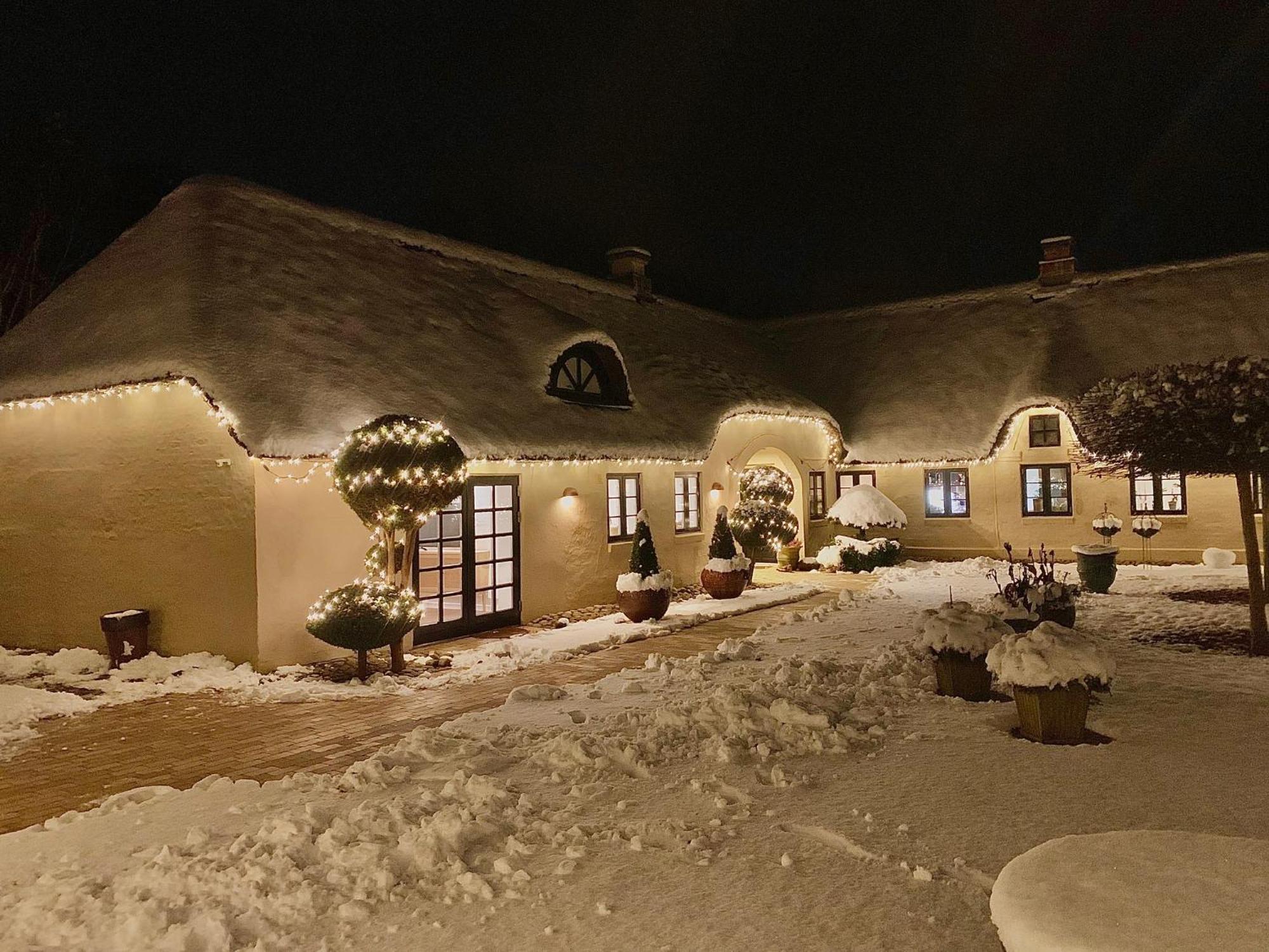Mindedalen - Idyl Taet Pa Alt Og Helt I Fred Apartment Billum Ngoại thất bức ảnh