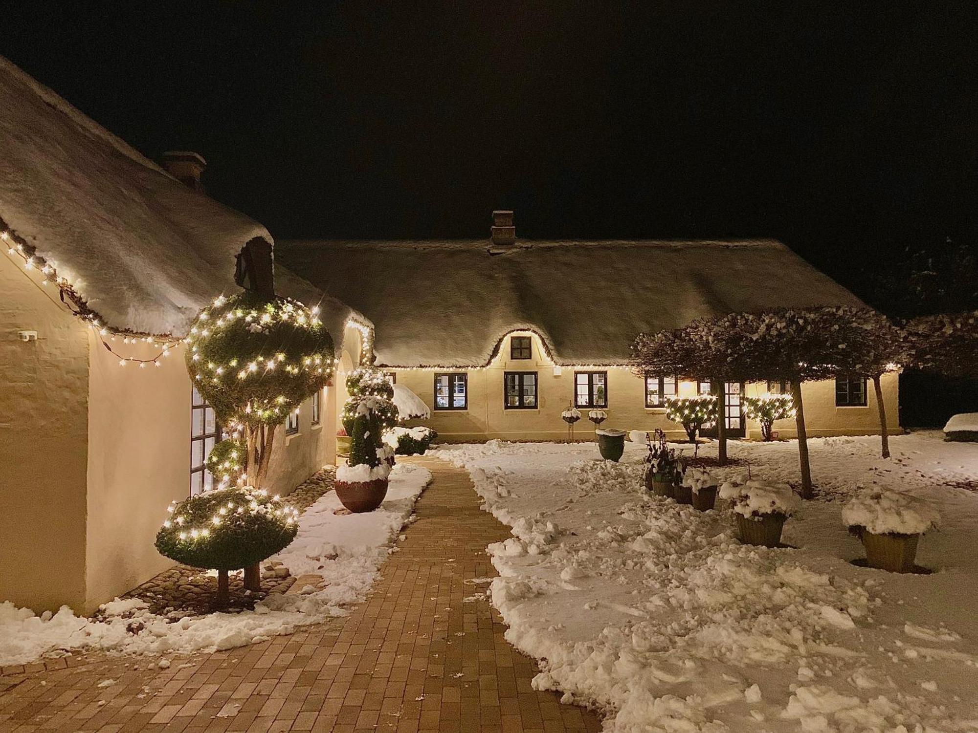 Mindedalen - Idyl Taet Pa Alt Og Helt I Fred Apartment Billum Ngoại thất bức ảnh
